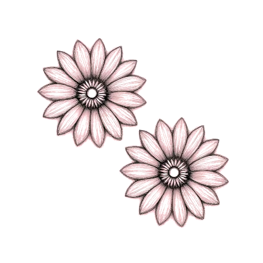 Comment ça fonctionne : Paire de pampilles